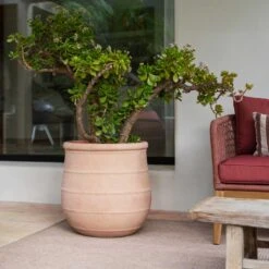 Treasure Nika Planter - Brick Orange -HousePlants Shop Treasure Nika Planter Brick Orange Lifestyle1