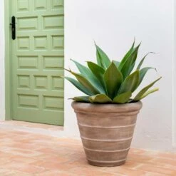 Treasure Selena Planter - Chalk Beige -HousePlants Shop Treasure Selena Planter Chalk Beige Lifestyle 1