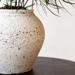 Zeus Mediterranean Planter - Chalk White -HousePlants Shop Zeus Mediterranean Planter Chalk White Lifestyle