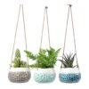 Baby Dotty Hanging Indoor Pot Trio -HousePlants Shop baby dotty hanging plant pots trio