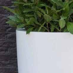 Ben Essentials Planter - Matt White -HousePlants Shop ben planter essential matte white close up