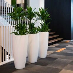 Dax Essentials Tall Planter - Matt White 11 Dax Essentials Tall Planter - Matt White -HousePlants Shop dax planter essential matte white open plan office
