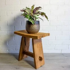 Mya Plant Pot - Deep Champagne -HousePlants Shop mya deep champagne plant pot calathea fusion white