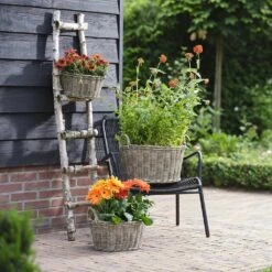 Paula Wikr Plant Baskets - Set Of 4 - Natural -HousePlants Shop paula wicker plant baskets set of 4 natural lifestyle 001