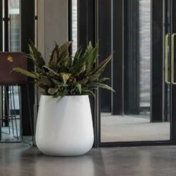 Pax Essentials Planter - Matt White -HousePlants Shop pax planter essential matte white office plants