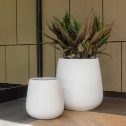 Pax Essentials Planter - Matt White -HousePlants Shop pax planters essential matte white office plants