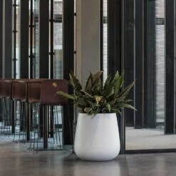 Pax Essentials Planter - Matt White -HousePlants Shop pax planters essential matte white office reception plants