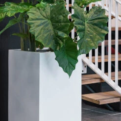 Bouvy Essentials Planter - Matt White -HousePlants Shop pottery pots essential matte bouvy 7