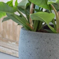 Mini Orb Cement & Stone Plant Pot - Granite Grey -HousePlants Shop pottery pots stone orb 2